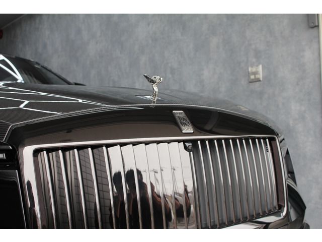 2025 Rolls-Royce スペクター Base grade 4WD auction photo 19