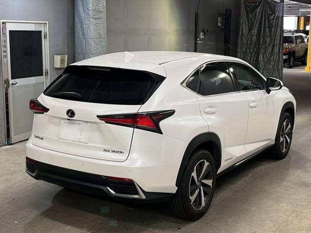2017 Lexus NX NX300h バージョンL auction photo 5