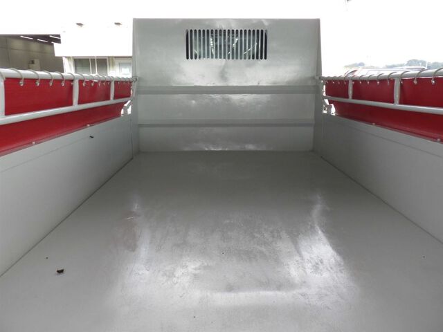 2017 Isuzu Elf dump auction photo 6