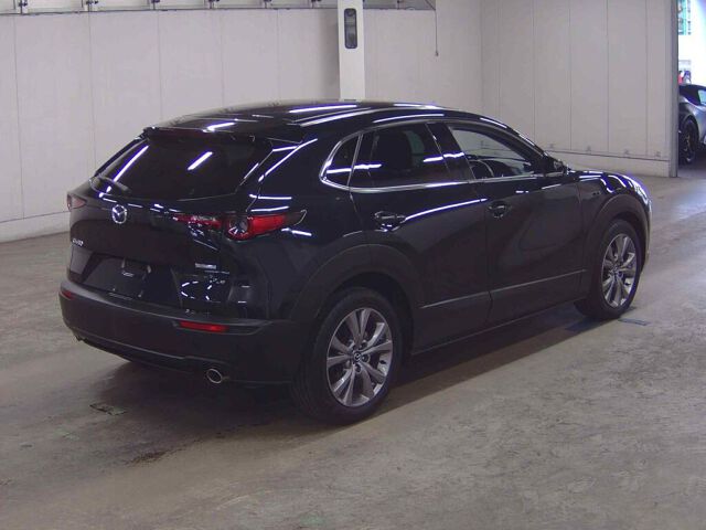 2023 Mazda CX-30 20S ProActsrinse auction photo 5