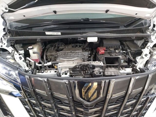2022 Toyota Alphard 2.5Sタイプゴルト2 4WD auction photo 6