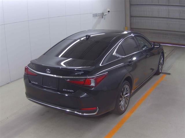 2023 Lexus ES300h Graceful Escort auction photo 4
