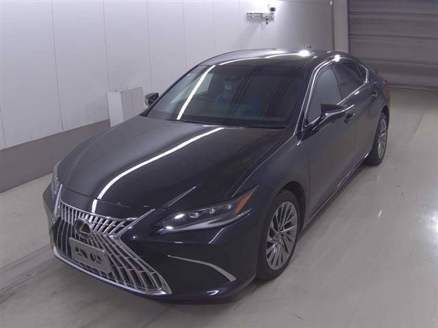 2023 Lexus ES300h Graceful Escort auction photo 3