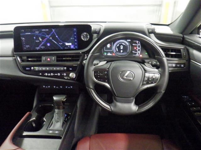 2023 Lexus ES300h Graceful Escort auction photo 5