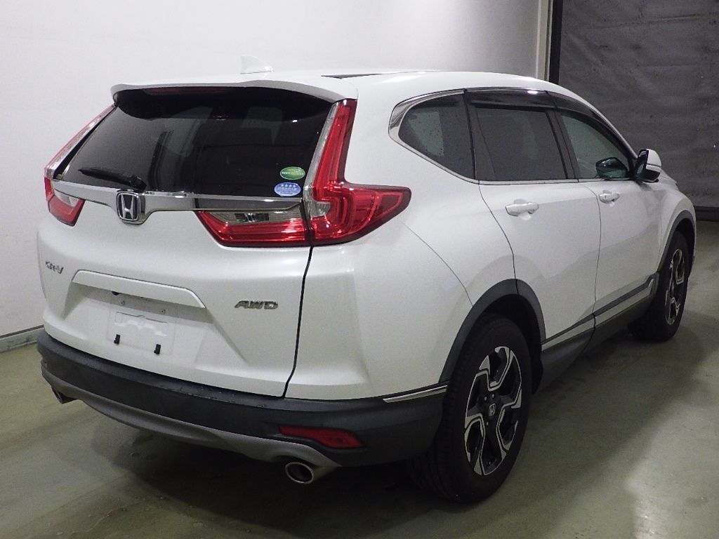 2019 Honda CR-V 4WD EX 5 people auction photo 2