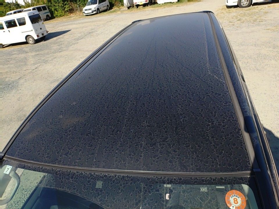 2009 Toyota Noah auction photo 7