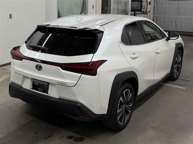 2023 Lexus UX UX200 Version L auction photo 5