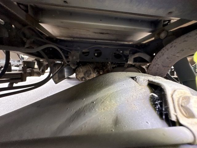 2015 Toyota Dyna ヒラ.ホロ auction photo 15