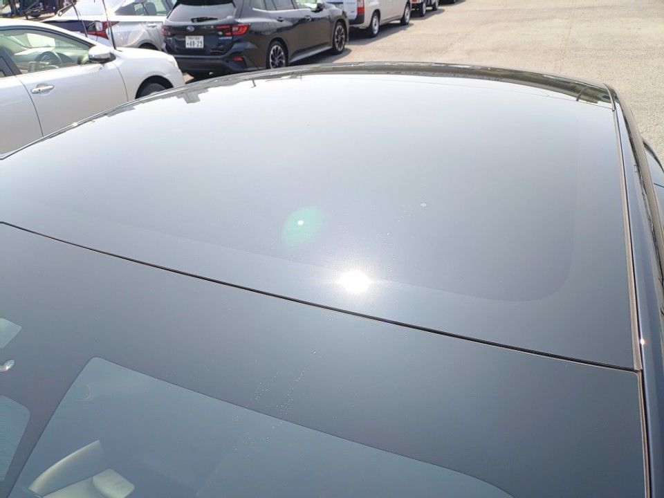 2021 Tesla Model3 auction photo 7
