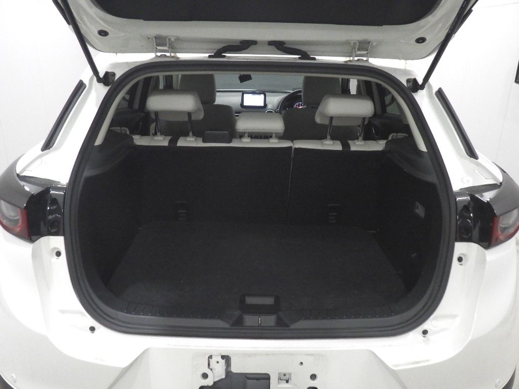 2021 Mazda CX-3 15Sアーバンドレッサー auction photo 8