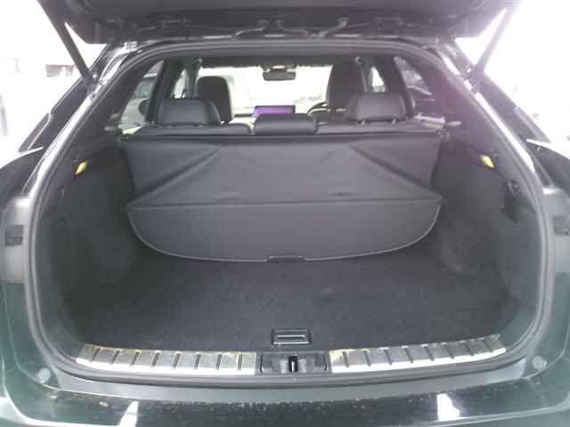 2016 Lexus RX200t F Sport auction photo 10