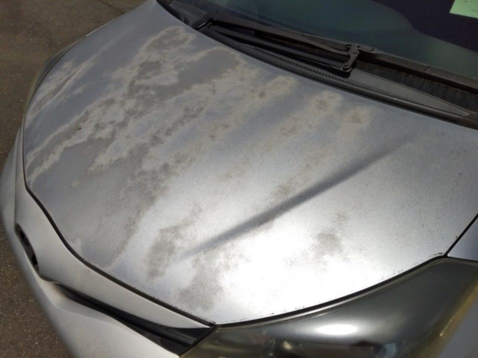 2015 Toyota Vitz auction photo 19