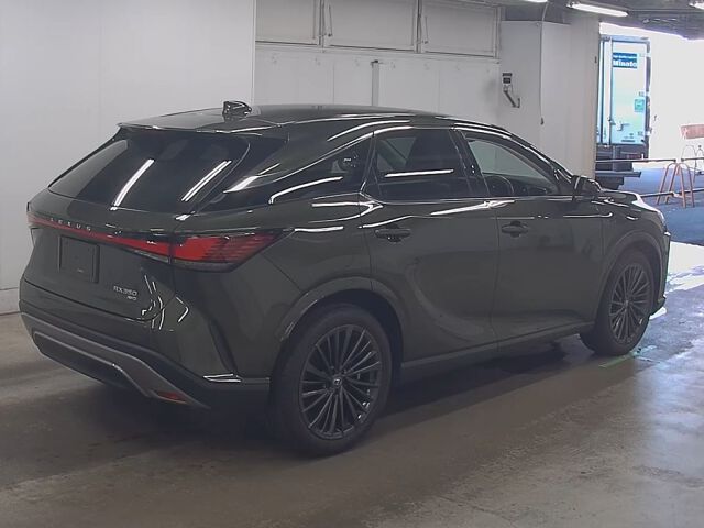 2024 Lexus RX RX350 Version L 4WD auction photo 5