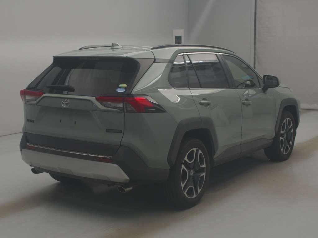 2019 Toyota RAV4 Adventure 4WD auction photo 2