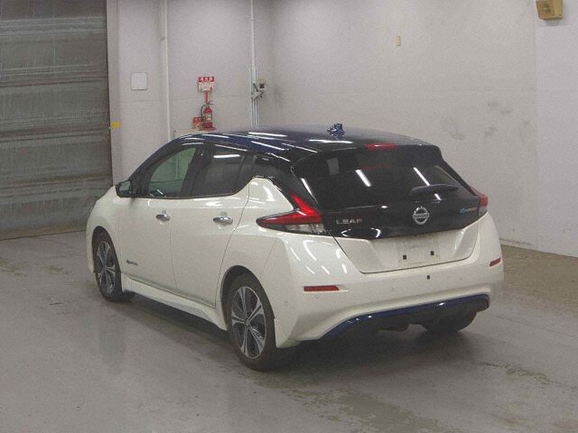 2020 Nissan Leaf auction photo 2