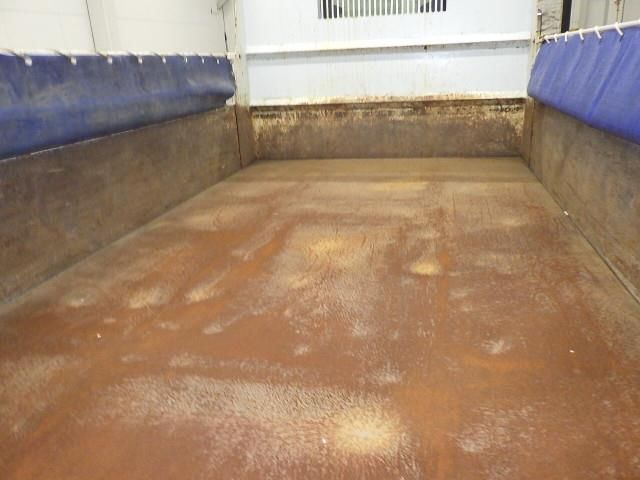 2013 Isuzu Elf dump auction photo 4
