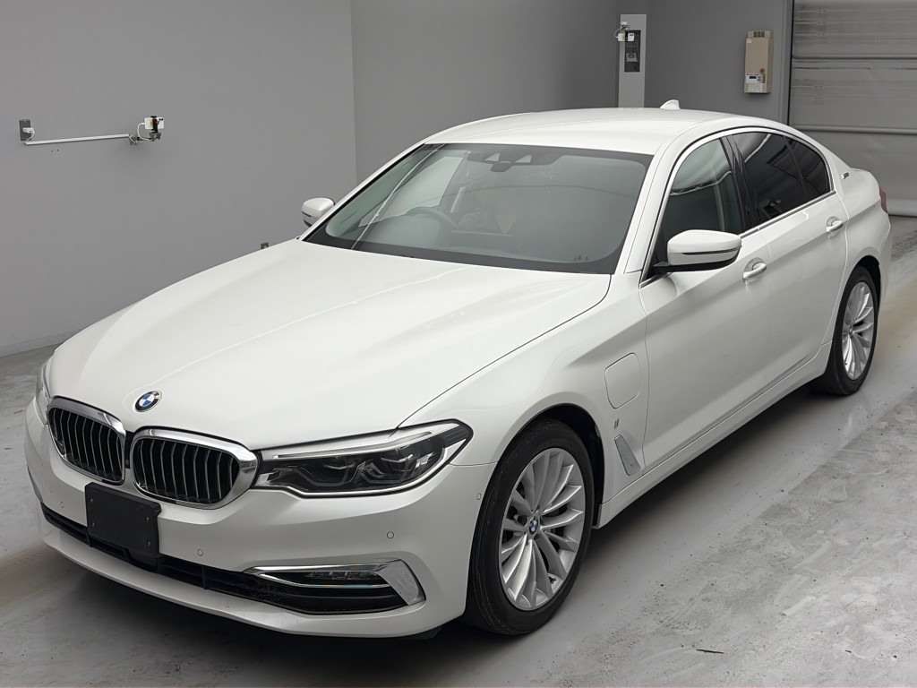 2017 BMW 5 Series Japan auction vehicle