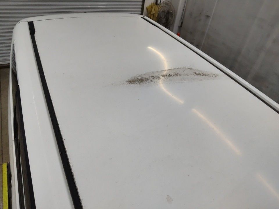 2004 Toyota Succeed auction photo 20