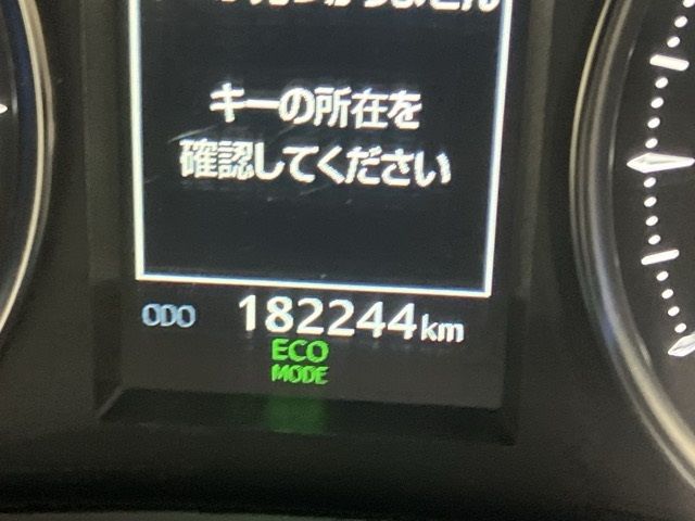 2019 Toyota Alphard wagon auction photo 13