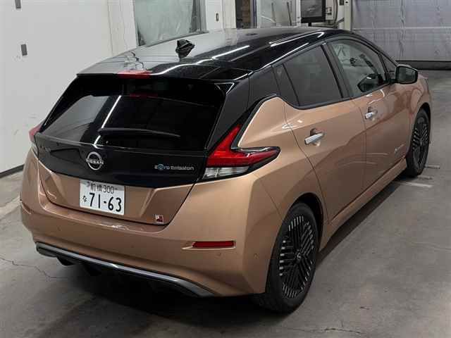 2022 Nissan Leaf G auction photo 5