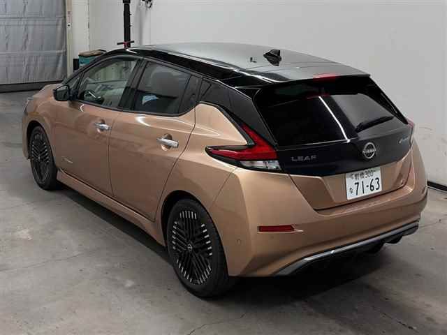 2022 Nissan Leaf G auction photo 2