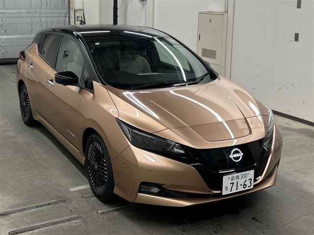 Japan Auction Vehicles 10 2022 Nissan Leaf G auction photo
