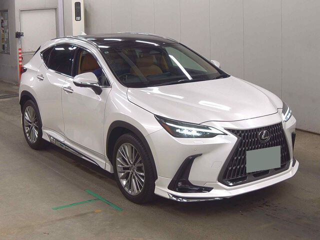 2022 Lexus NX NX250バージョンL Japan auction vehicle