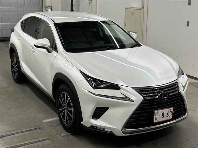 Japan Auction Vehicles 10 2018 Lexus NX NX300Iパッケージ auction photo
