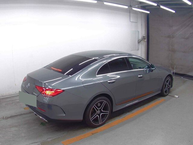 2019 Mercedes-Benz CLS-Class CLS450 4M Sport 4WD auction photo 5