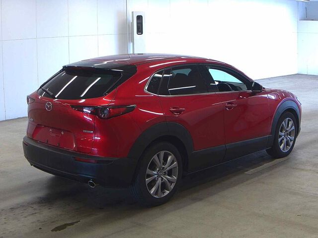 2019 Mazda CX-30 20Sプロアクティブ auction photo 5