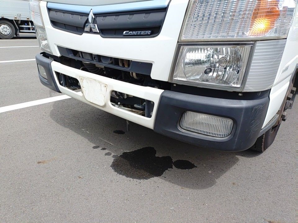 2019 Mitsubishi Fuso Canter auction photo 20