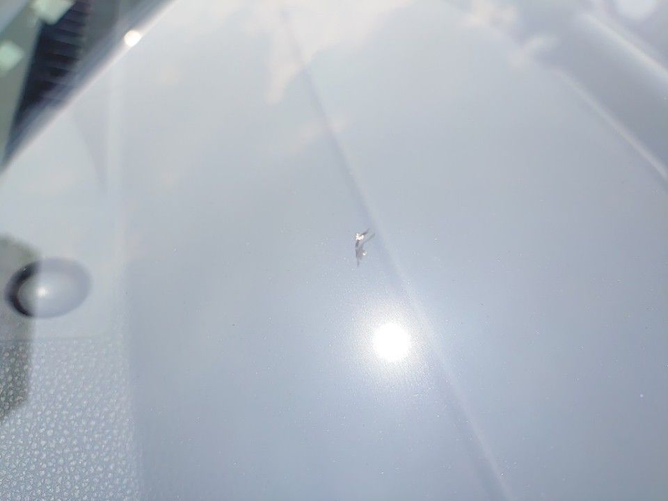 2021 Toyota カローラ ツーリング auction photo 19