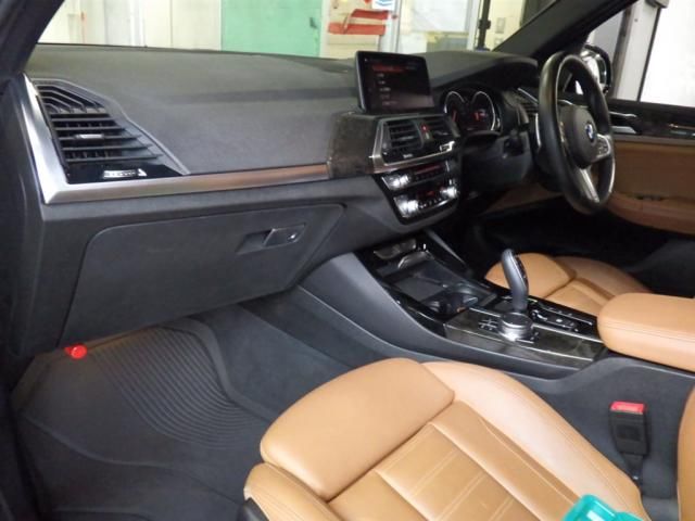 2019 BMW BMW X3 xDrive 20d MSP auction photo 2