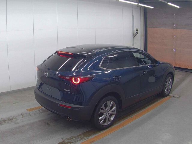 2019 Mazda CX-30 20Sプロアクティブ auction photo 5