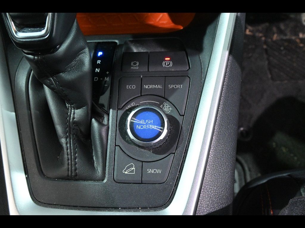 2019 Toyota RAV4 4WD Adventure auction photo 11