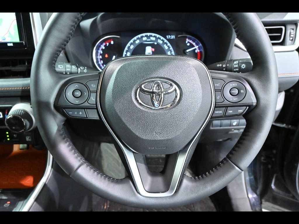 2019 Toyota RAV4 4WD アドベンチャー auction photo 9