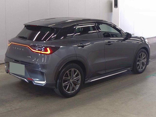 2024 Lexus LBX relax auction photo 5