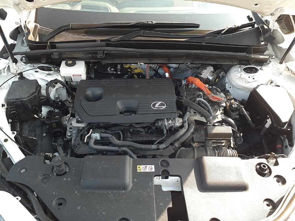 2025 Lexus NX NX350h F Sport 4WD auction photo 7