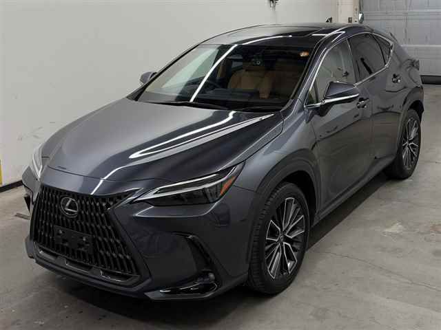 2023 Lexus NX NX350h Version L auction photo 4
