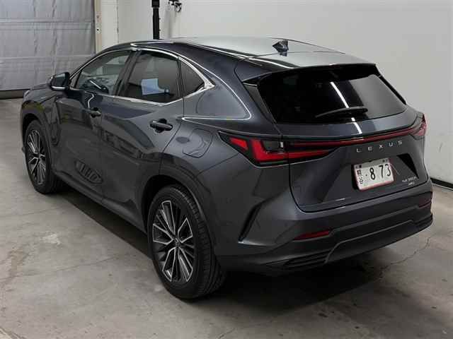2023 Lexus NX NX350h Version L auction photo 2