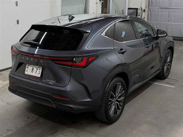 2023 Lexus NX NX350h Version L auction photo 5