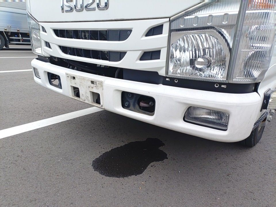 2020 Isuzu Elf auction photo 20