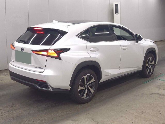 2021 Lexus NX NX300H VER-L 4WD auction photo 5