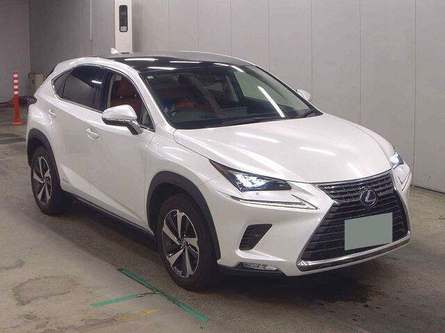 2021 Lexus NX NX300H VER-L 4WD Japan auction vehicle