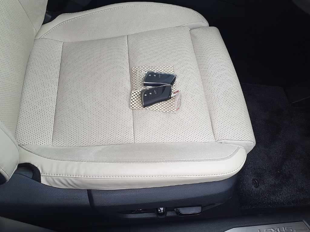 2024 Lexus RX RX350 Version L auction photo 10