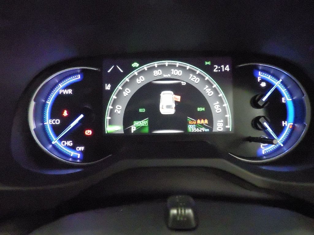 2020 Toyota RAV4 4WD Hybrid G auction photo 10
