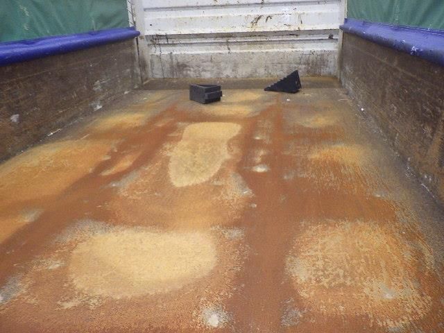 2009 Isuzu Elf dump auction photo 4
