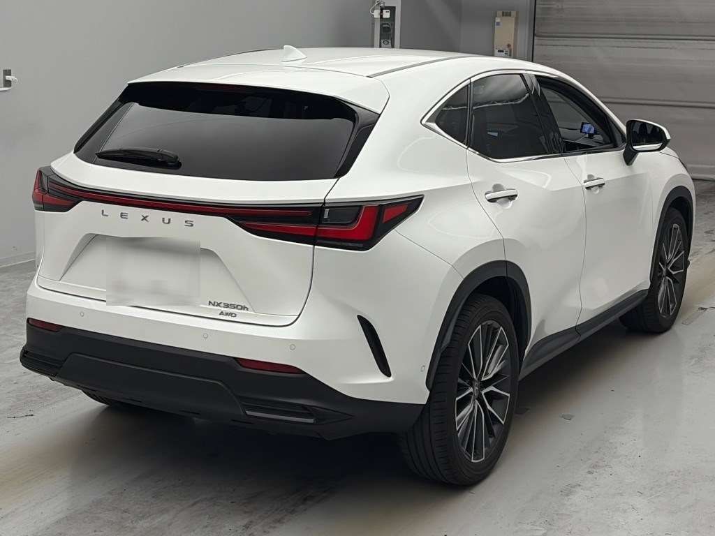2024 Lexus NX NX350h Version L 4WD auction photo 2