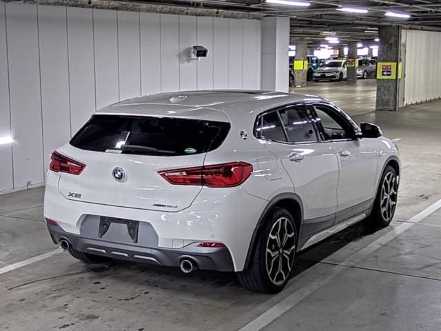 2019 BMW BMW X2 xDrive 18d MSP X auction photo 3