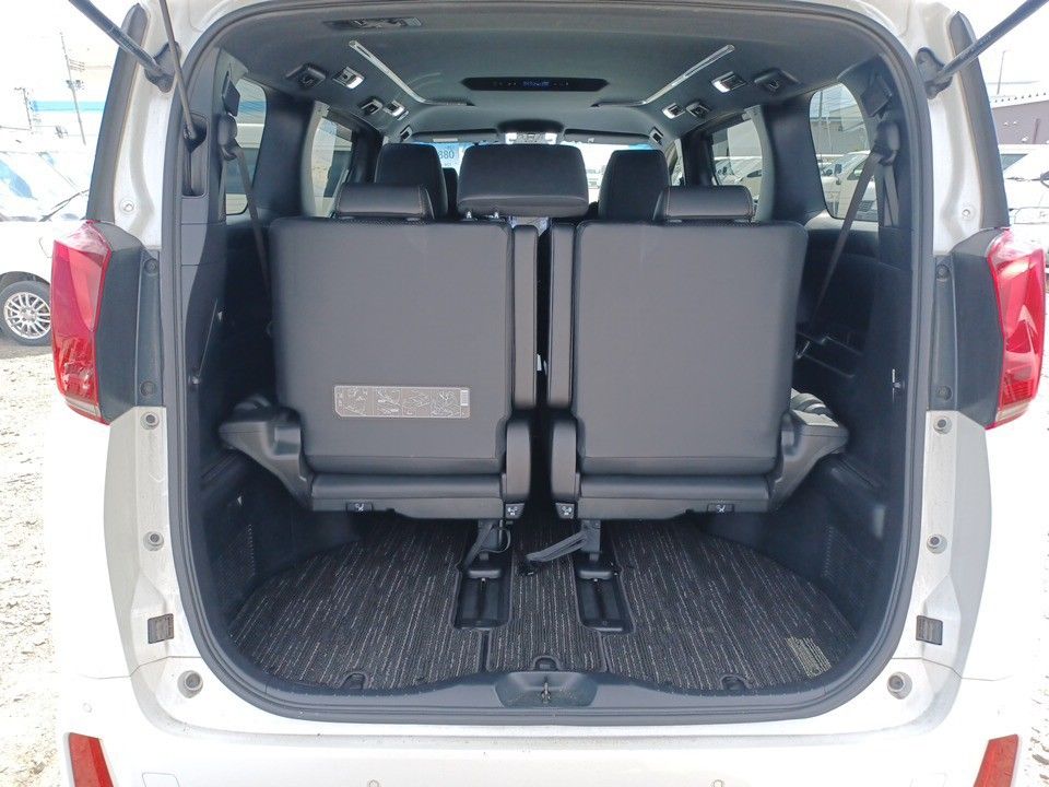 2021 Toyota Alphard auction photo 8